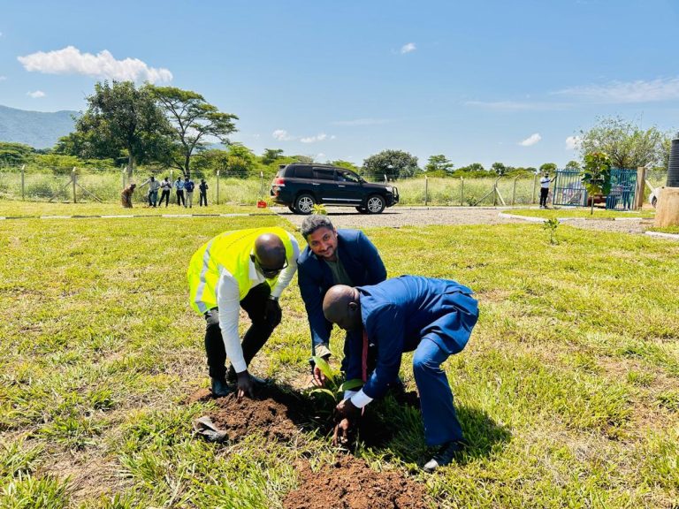 Website Updates-Icon Projects8