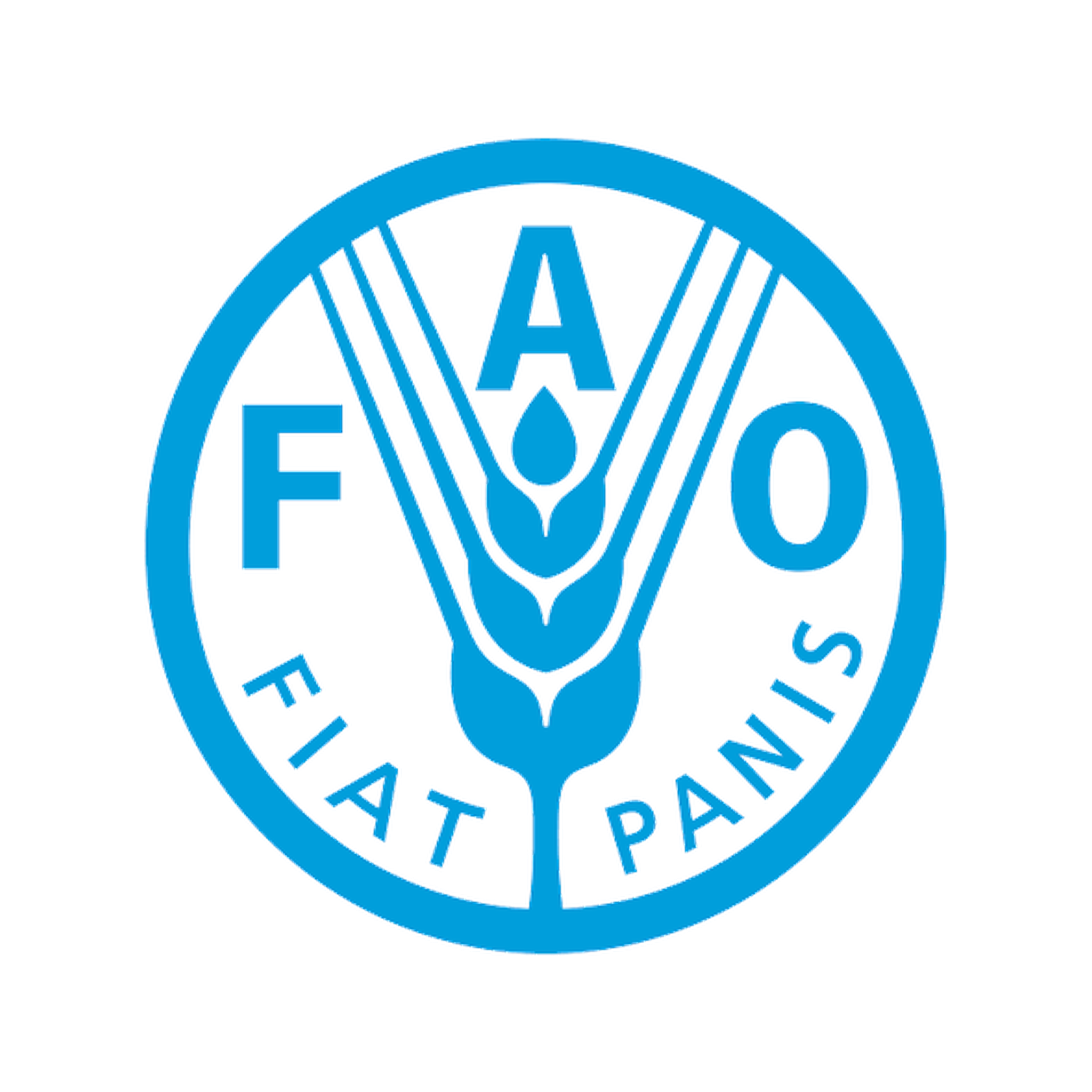 01_FAO_2K