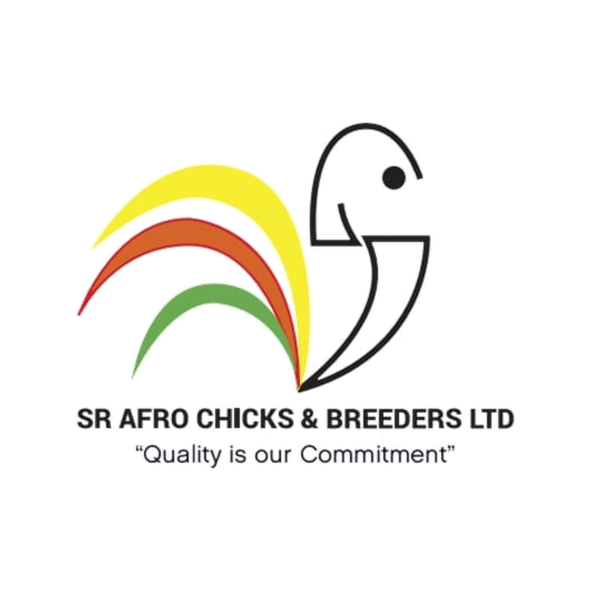 04_SR_Afro_Chicks_Breeders_2K